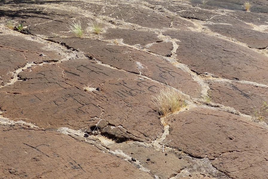 Petroglyph field